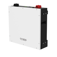 Низьковольтна батарея Dyness DL5.0C