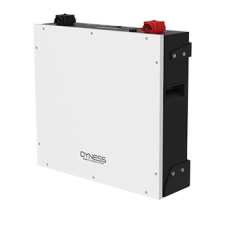 Низьковольтна батарея Dyness DL5.0C